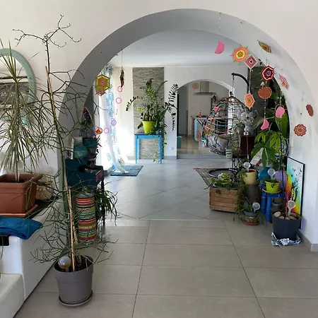La Maison Multicolore Livron-sur-Drôme